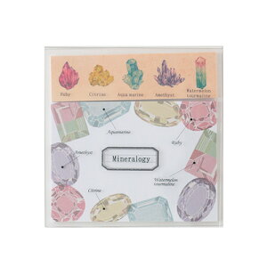 O[tbViGreenFlashj@STUDY@HOLIC@NAJo[tⳁ@ST|171@zw