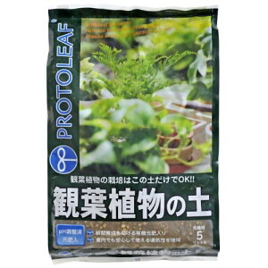 vg[tiPROTOLEAFj@ϗtA̓y@5L