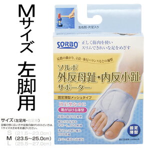 �\���{�@�O�������Œ蔖�^�O���[�@M�@��