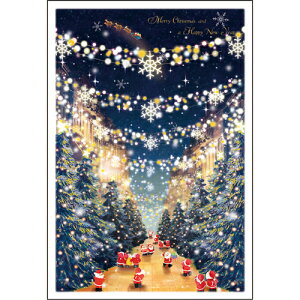 【クリスマス】 グリーティングライフ ミニサンタカード S−412