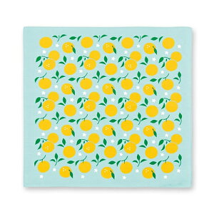 C~iFUROSHIKIj@݂̏C~@Mq