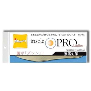 @C\[viinsole@PRO)@ɑ΍@fB[X@M@x[W