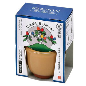 V|@HACOMAME~͍͔|Zbg@GD965]4@ܐFƂ炵