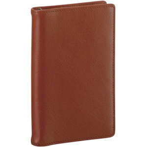 ���C���C����@�_�E���B���`�iDavinci�j�@�X�[�p�[���C�X���U�[�@�~�j6���X�����@JDP3009C�@�u���E��