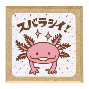 ǂ̂@̂͂񂱂₳@eB[`[X^v@1665|006@XoVCI