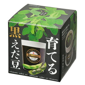 聖新陶芸　育てる黒えだ豆栽培キット　GD995│園芸用品　ミニ盆栽・栽培セット