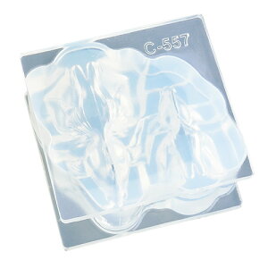 TX@\tg[h@C-557@@̌^@2TCY