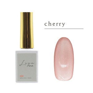 �G���W�F���iMGEL�j�@Lien�@Fort�@�J���[�W�F���@Z077�@cherry