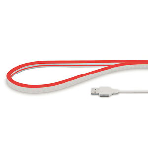 ���{�g���X�g�e�N�m���W�[�@USB�l�I���`���[�u���C�g�@1m�@NEONLT1M�|RD�@���b�h