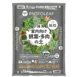 vg[tiPROTOLEAFj@ϗtE̓y@ח@p@3.6L