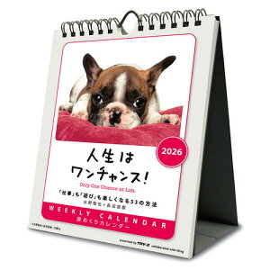 �y2026�N�ŁE�Ǌ|��㌓�p�z�@�g���C�G�b�N�X�iTRY-X)�@�@�T�߂���@�l���̓����`�����X�I�@CL383