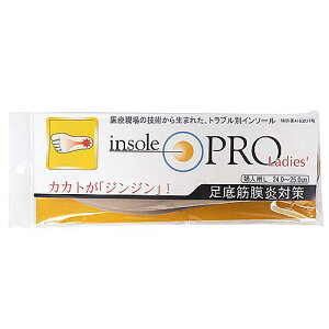 @C\[viinsole@PRO)@ؖ΍@fB[X@L@x[W