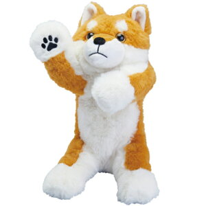 LOWiKING@JIMj@|[Y[@y|[`@PZ2026@VoCk