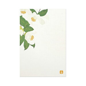 teBA@͂@KPC|079@ց@3