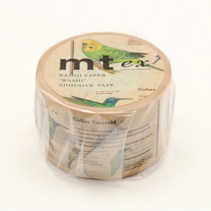 �J����@mt�@ex�@MTEX1P90R�@�}�Ӂ^��