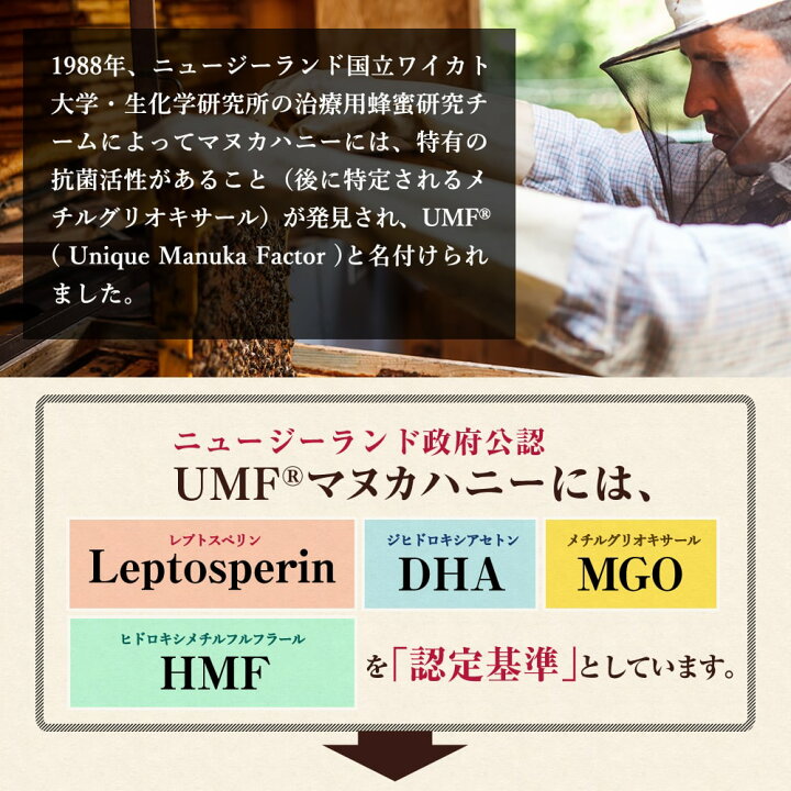 楽天市場 あす楽対応 マヌカハニー アクティブマヌカハニーumf 15 250g Mgo514 8相当 2個セット天然蜂蜜 はちみつハニーバレー 100 Pure New Zealand Honey Hls Du Rcp スーパーフード 自然食品のハンズ