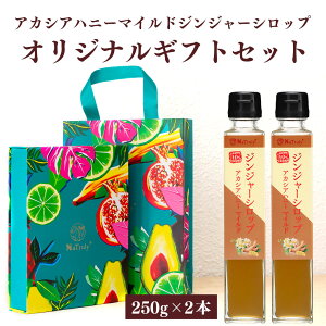 ylΉz IWiMtgBOX lΉ 傤 WW[Vbv MtgZbg AJVAnj[}Ch 250g×2Zbg ( 500g ) I WW[nj[ II I  v