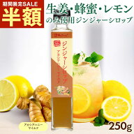 【半額目玉SALE★6/11 9:59まで】 しょうが ジンジャーシロップ アカシアハニーマイルド 250g 瓶 ジンジ…