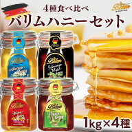 【新セット登場!!】 はちみつ バリム ドイツ産 はちみつ 1kg×4種 ( 4kg ) 食べ比べセット 大容量 ブロッ…