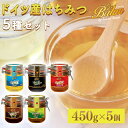 「8月中旬から順次出荷」はちみつ セット バリム ドイツ産 はちみつ 450g×5種セット Balim ( バリム ) ブロッサムハニー アカシアハニー ブラックフォレストハニー パインハニー チェスナッツハニー 百花蜂蜜 百花蜜 ハニー 非加熱 はちみつ 生はちみつ ハニーデュー 甘露蜜