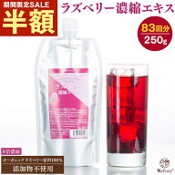 【目玉半額SALE★5/27 9:59まで】 ラズベリー 濃縮エキス 250g パウチ 9倍濃縮 ラズベリー ジュース エキ…