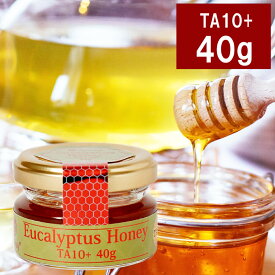 はちみつ お試し ミニサイズ ユーカリハニー TA10+ 40g オーストラリア産 はちみつ ハチミツ 蜂蜜 ユーカリ 非加熱 生はちみつ 純粋 Natruly ナトゥリー