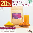 【クーポン利用で1584円★4/27まで】 サジー 有機JAS認証 オーガニック サジーパウダー 100g サジー 粉末 鉄分 サジー…