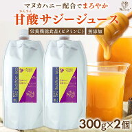 【 セット割で508円お得 】 サジージュース 甘酸サジージュース 300g 2個セット 鉄分 ドリンク サジー は…