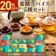 【クーポン利用で3600円〜★7/30 11:59まで】 薬膳スパイス5種セット | お試し 合計300g | 大容量 合計1.…