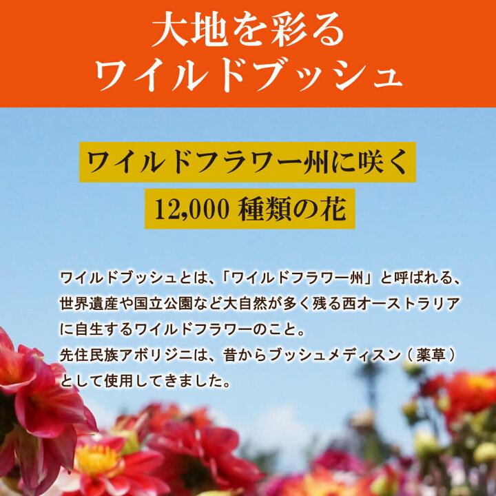 195円 【上品】 はちみつ NaTruly ワイルドブッシュハニー TA5 40g オーストラリア産 ハチミツ 蜂蜜 百花蜜 百花はちみつ 百花蜂蜜 195円 【上品】 はちみつ NaTruly ワイルドブッシュハニー TA5 40g オーストラリア産 ハチミツ 蜂蜜 百花蜜 百花はちみつ 百花蜂蜜