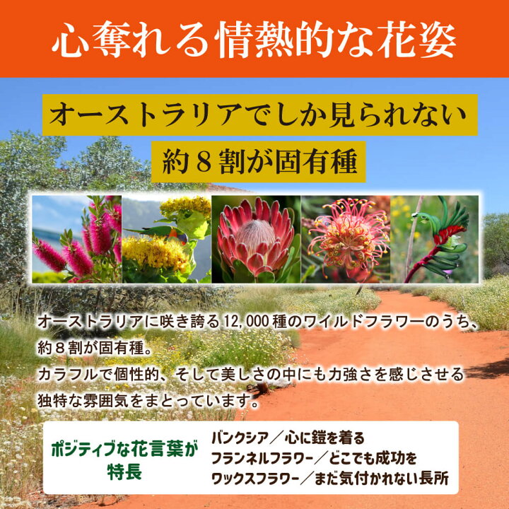 195円 【上品】 はちみつ NaTruly ワイルドブッシュハニー TA5 40g オーストラリア産 ハチミツ 蜂蜜 百花蜜 百花はちみつ 百花蜂蜜 195円 【上品】 はちみつ NaTruly ワイルドブッシュハニー TA5 40g オーストラリア産 ハチミツ 蜂蜜 百花蜜 百花はちみつ 百花蜂蜜