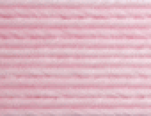 IWioh Ntgoh |p  12{ǂ 30m i6186335j ʏz