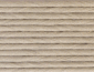 IWioh Ntgoh |p pXeO[ 12{ǂ 400m i5172365j  ʏz (140k5)