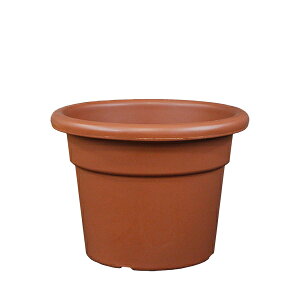 C^AA vX`bNAؔ ی^ Vh Cilindro a30cm×H23cm uE