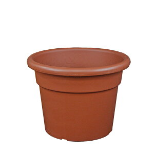 C^AA vX`bNAؔ ی^ Vh Cilindro a40cm×H30cm uE