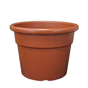 C^AA vX`bNAؔ ی^ Vh Cilindro a50cm×H40cm uE