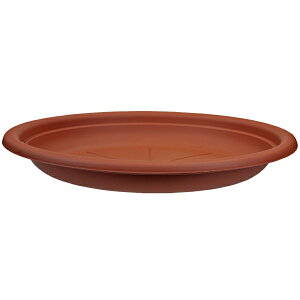 C^AA vX`bNAؔ ی` 󂯎M a50cm uE