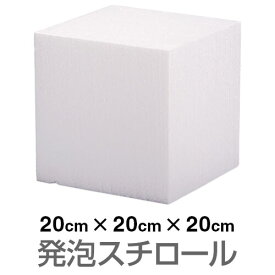 発泡スチロール ブロック 白 ホワイト 200×200×200mm（お取り寄せ2週間以内に発送）