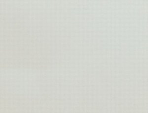 pSV[g 101188 Vo[O[ TCYF45cm×15m 