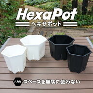 植木鉢 ヘキサポット 鉢 六角型