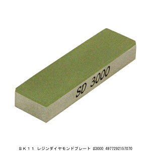 SK11 W_Chv[g #3000 u i7295251j 敪A s ԕis