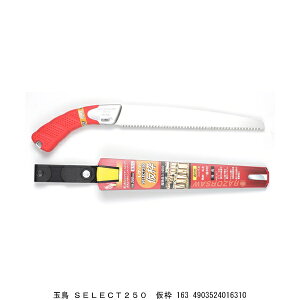 ʒ U[\[ SELECT250 g 163 Tt ֐n i5277744j 敪A s ԕis