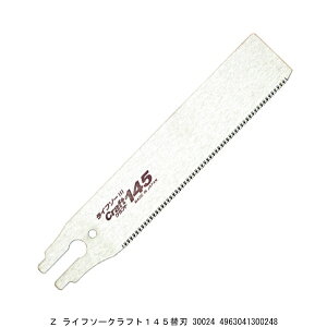 Z Ct\[Ntg145֐n 30024 i5242371j 敪A s ԕis