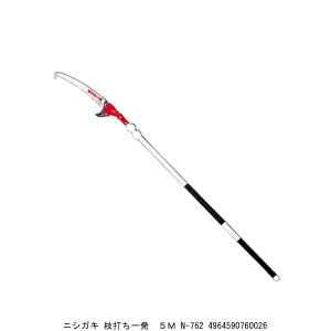 jVKL }łꔭ 5M N-762 i5038618j ^֑ 敪A s ԕis