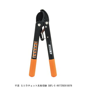 g ~j`Fbg} SGFL-5 i9029621j 敪A s ԕis