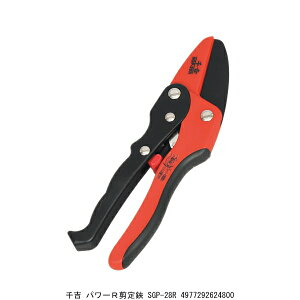 g p[R SGP-28R i9029419j 敪A s ԕis