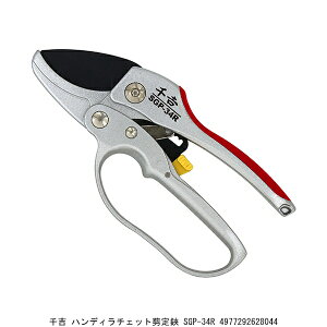 g nfB`Fbg SGP-34R i9099867j 敪A s ԕis