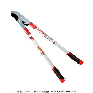 g `Fbg} SGFL-3 i7051565j 敪A s ԕis