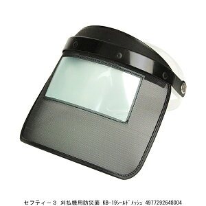 ZteB[3 @phЖ KB-19 V[hbV i8905436j 敪A s ԕis