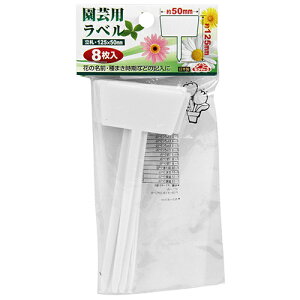 ZteB[3 |px D 8 i8924260j 敪A s ԕis